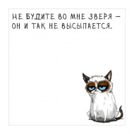 Блок для записей СБИ "Не будите..." 80*80мм, 50л, рисунок, 80г/м2 М-04.