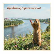 Магнит Красноярск "Суслик над р.Енисей" 6*6см, акрил К19-1 23105